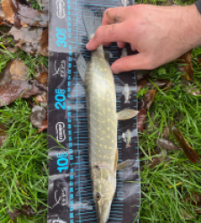 photo prise 52772 par 