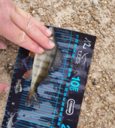 photo prise 52773 par JEAN RENE DENNETIERE