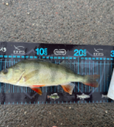 photo prise 52774 par ANTOINE DUBUC