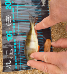 photo prise 52776 par JEAN RENE DENNETIERE