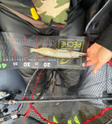 photo prise 52777 par leopold.dubiez1