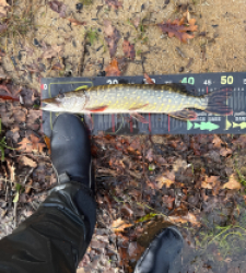 photo prise 52780 par leopold.dubiez1