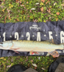 photo prise 52781 par Rimshot12