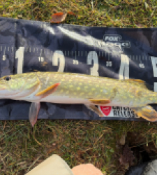 photo prise 52782 par Rimshot12