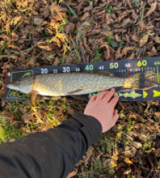 photo prise 52783 par leopold.dubiez1