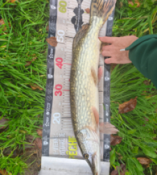 photo prise 52785 par Pierre Burguet