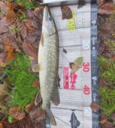 photo prise 52786 par Pierre Burguet