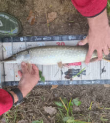 photo prise 52787 par Pierre Burguet