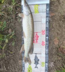 photo prise 52788 par Pierre Burguet