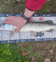 photo prise 52789 par Pierre Burguet