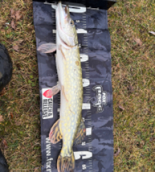 photo prise 52791 par Rimshot12