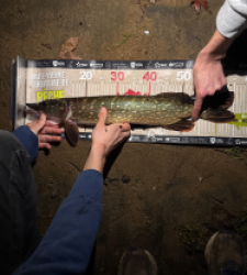 photo prise 52792 par leopold.dubiez1