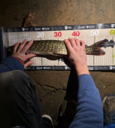 photo prise 52793 par leopold.dubiez1