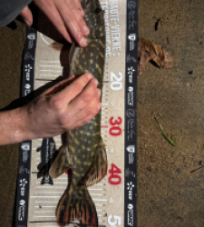 photo prise 52794 par leopold.dubiez1