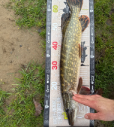 photo prise 52795 par leopold.dubiez1