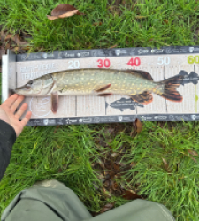 photo prise 52796 par leopold.dubiez1