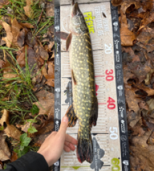 photo prise 52799 par leopold.dubiez1