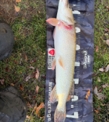 photo prise 52800 par Rimshot12