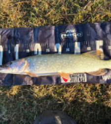 photo prise 52801 par Rimshot12