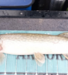 photo prise 52802 par Christian