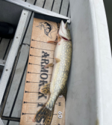 photo prise 52804 par jacky