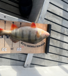 photo prise 52805 par jacky