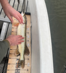 photo prise 52806 par jacky