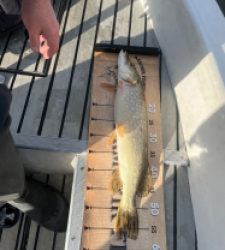 photo prise 52807 par jacky