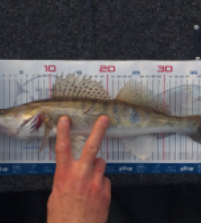 photo prise 52809 par julo_vido