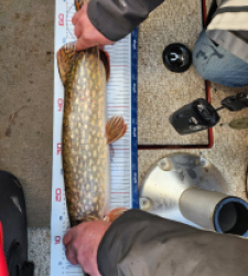 photo prise 52810 par Mélie