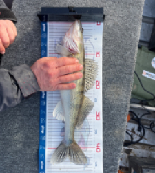 photo prise 52815 par Dav