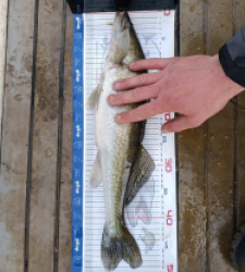 photo prise 52818 par Steve