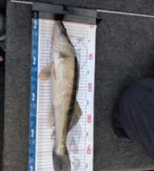 photo prise 52813 par Alex