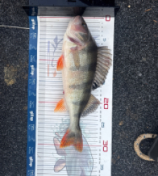 photo prise 52808 par Yael