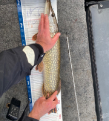 photo prise 52819 par Adri