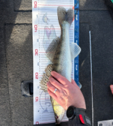 photo prise 52820 par Kev_47