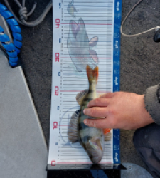 photo prise 52822 par Mika