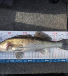 photo prise 52823 par Beuji