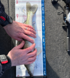 photo prise 52824 par Kev_47