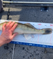 photo prise 52828 par Loulou