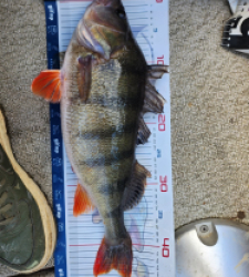 photo prise 52829 par Mélie