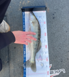 photo prise 52830 par Luc_vr