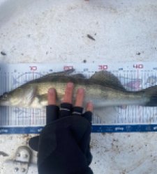 photo prise 52831 par Pedro