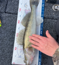 photo prise 52832 par Pio73