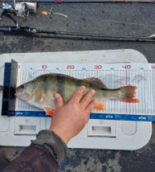 photo prise 52833 par Mika