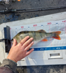 photo prise 52834 par Mika