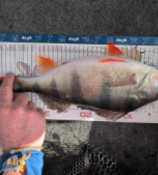 photo prise 52835 par Alex