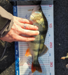 photo prise 52836 par Valhort16