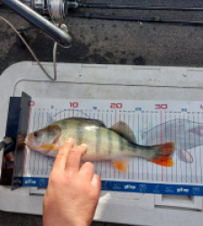 photo prise 52837 par Mika