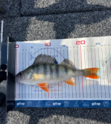 photo prise 52838 par Pio73